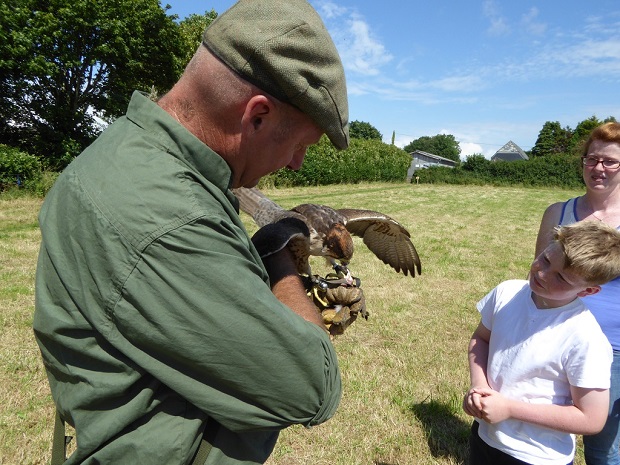 Discovery day hawking 2